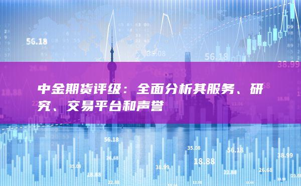 全面分析其服务