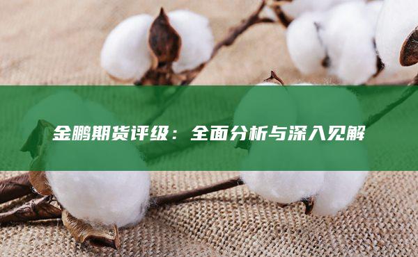 全面分析与深入见解