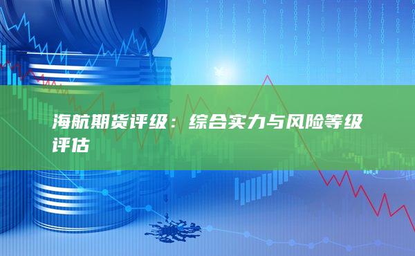 综合实力与风险等级评估