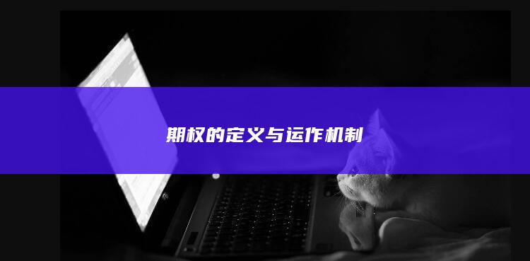 期权的定义与运作机制