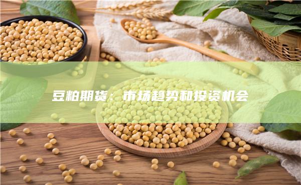 市场趋势和投资机会