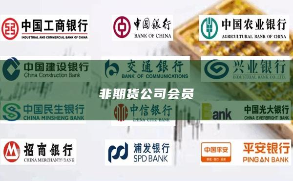 非期货公司会员