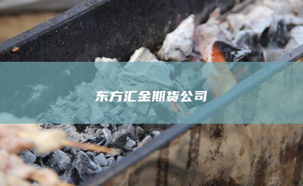 东方汇金期货公司