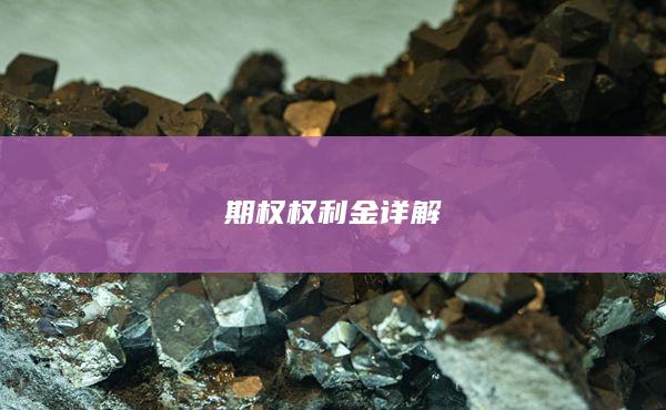 期权权利金详解