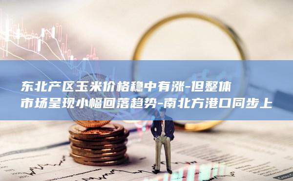 玉米主力