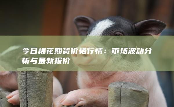 今日棉花期货价格行情
