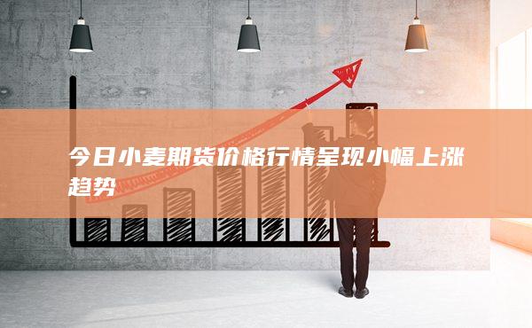 今日小麦期货价格行情呈现小幅上涨趋势