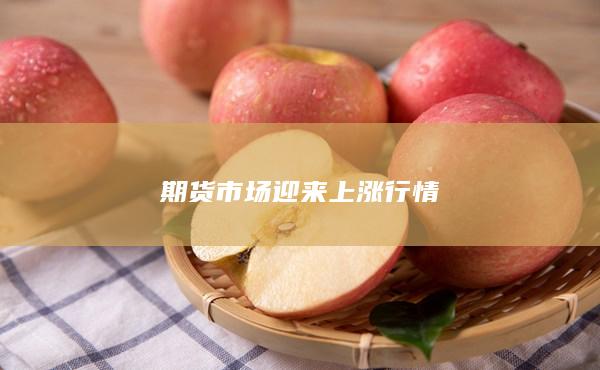 期货市场迎来上涨行情