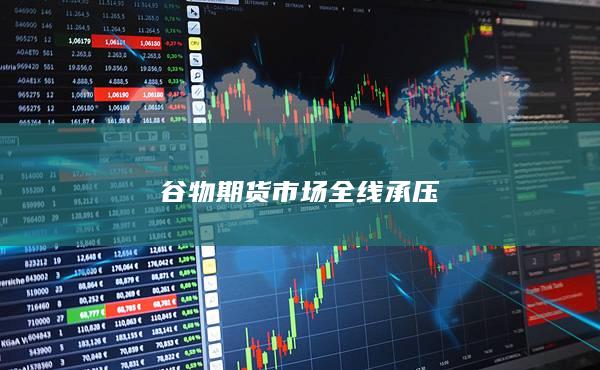 玉米主力