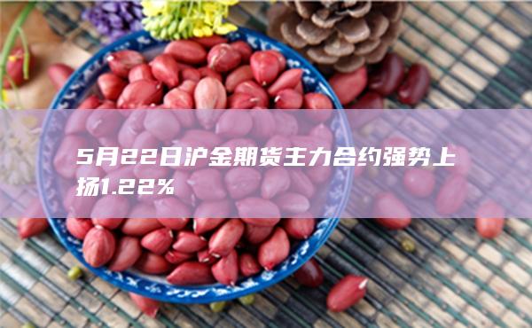 沪金期货主力