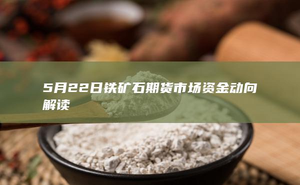 5月22日铁矿石期货市场资金动向解读