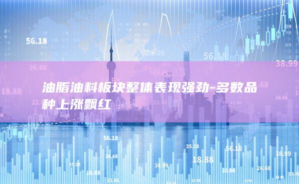 豆油主力