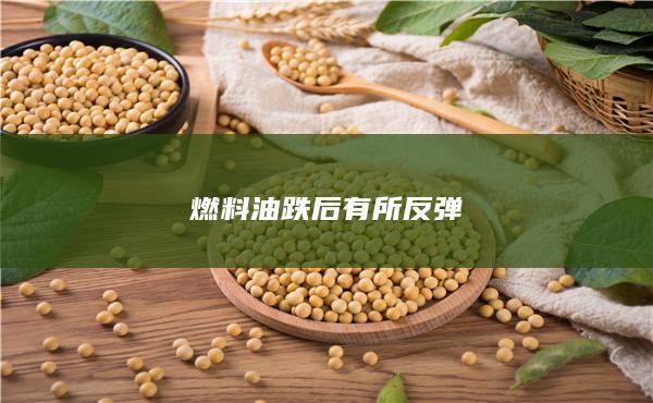 燃料油跌后有所反弹