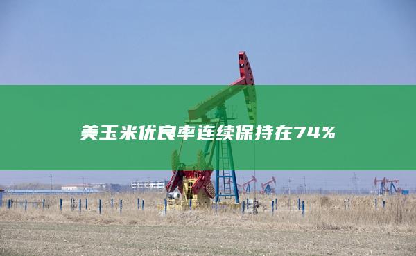 玉米