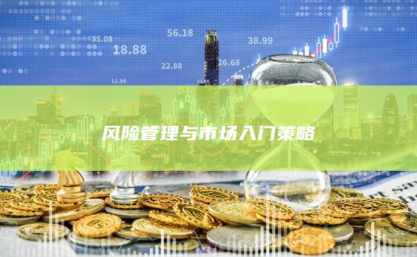 风险管理与市场入门策略