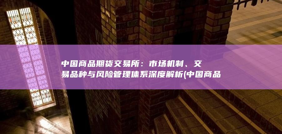 交易品种与风险管理体系深度解析