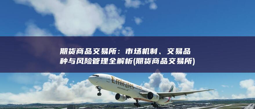 交易品种与风险管理全解析