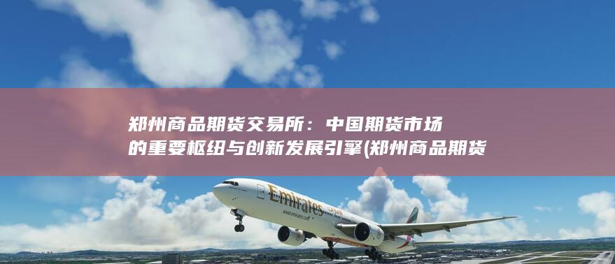 中国期货市场的重要枢纽与创新发展引擎