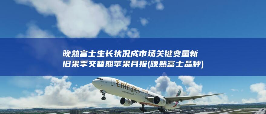 苹果价格