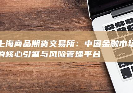 中国金融市场的核心引擎与风险管理平台