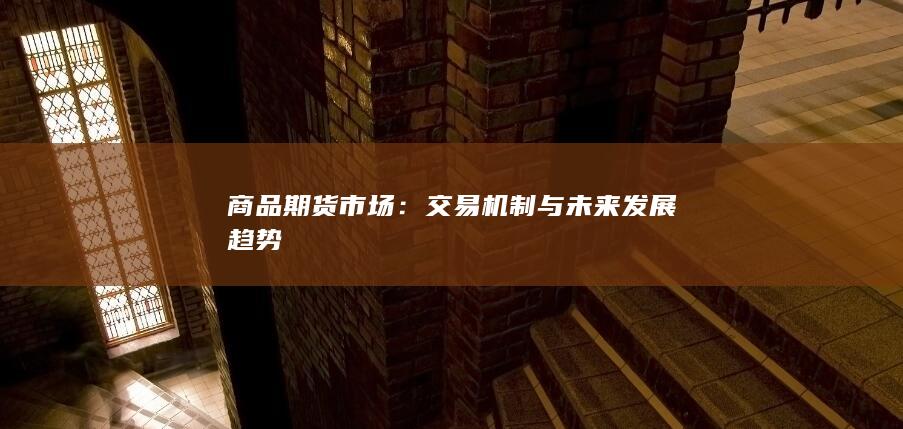 交易机制与未来发展趋势